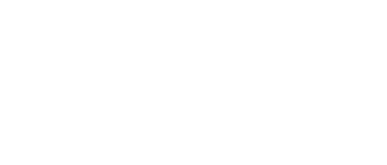 寶辰光Logo